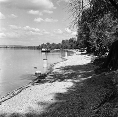 Hungary, Pócsmegyer, Duna-part, vízműtelep építése a községtől északra.Balra a távolban a tótfalui Szent István király-templom tornya sejlik., 1960, FŐMTERV, shore, Fortepan #251369