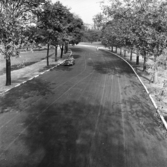 Hungary, People's Park, Budapest X., 1960, FŐMTERV, Budapest, alley, Fortepan #251390