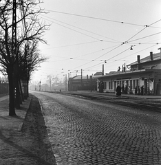 Hungary, Budapest XI., Fehérvári (Szabadság) út, a felvétel a Budafok kocsiszín előtti BHÉV megállónál készült., 1961, FŐMTERV, Budapest, Fortepan #251628