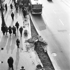 Magyarország, Budapest VIII., Blaha Lujza tér, a buszmegálló átépítése és a Rákóczi út a Nemzeti Színház erkélyéről nézve,, 1962, FŐMTERV, Domonkos Endre, Budapest, Fortepan #251661