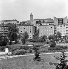 Magyarország, Budapest I., Vérmező, háttérben az Attila út házsora, fenn a Mária Magdolna-templom tornya., 1962, FŐMTERV, Domonkos Endre, Budapest, Fortepan #251667