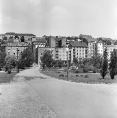 Magyarország, Budapest I., Vérmező, háttérben az Attila út házsora., 1962, FŐMTERV, Domonkos Endre, Budapest, Fortepan #251668