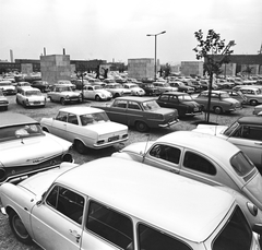 Magyarország, Budapest XIV., a Népstadion melletti szoborkertben kialakított parkoló, a Magyarország - Ausztria (2:1) mérkőzés alkalmával, 1963. október 27-én., 1963, FŐMTERV, Domonkos Endre, Volkswagen Typ3, Volkswagen Bogár, Ford Fairlane, Budapest, parkoló, Fortepan #251908