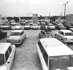 Magyarország, Budapest XIV., a Népstadion melletti szoborkertben kialakított parkoló, a Magyarország - Ausztria (2:1) mérkőzés alkalmával, 1963. október 27-én., 1963, FŐMTERV, Domonkos Endre, Zastava 750, Jaguar-márka, Wartburg 311/312, Trabant 600, Volkswagen Bogár, Budapest, parkoló, Fortepan #251910