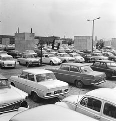 Magyarország, Budapest XIV., a Magyarország - Ausztria (2:1) mérkőzés alkalmával, 1963. október 27-én, a Népstadion melletti szoborkertben kialakított parkoló., 1963, FŐMTERV, Domonkos Endre, Budapest, Fortepan #251926