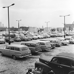 Magyarország, Budapest XIV., a Magyarország - Ausztria (2:1) mérkőzés alkalmával, 1963. október 27-én, a Népstadion melletti szoborkertben kialakított parkoló., 1963, FŐMTERV, Domonkos Endre, Budapest, Steyr-Puch 500, Fortepan #251927