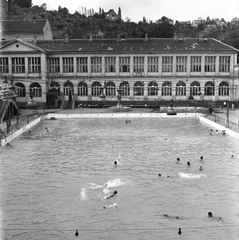 Magyarország, Budapest II., Császár uszoda, versenymedence., 1963, FŐMTERV, Domonkos Endre, Budapest, Fortepan #251963