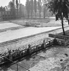 Magyarország, Margitsziget, Budapest, Palatinus Strandfürdő, nagymedence., 1963, FŐMTERV, Domonkos Endre, Fortepan #251982