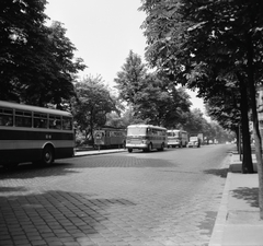 Magyarország, Budapest II., a Szilágyi Erzsébet fasor a Városmajor mellett., 1966, FŐMTERV, Domonkos Endre, Budapest, Fortepan #252110