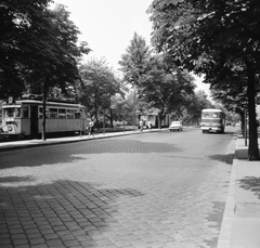 Magyarország, Budapest II., a Szilágyi Erzsébet fasor a Városmajor mellett., 1966, FŐMTERV, Domonkos Endre, Budapest, Fortepan #252111