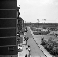 Magyarország, Budapest XIII., Fiastyúk (Thälmann) utcai lakótelep, kilátás a Tahi utca 46. számú házból a Rákos-patak melletti parkra. Távolabb a Béke utca melletti épületek látszódnak., 1966, FŐMTERV, Domonkos Endre, Budapest, Fortepan #252118