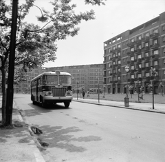 Magyarország, Budapest XIII., Fiastyúk (Thälmann) utcai lakótelep, Fiastyúk (Thälmann) utca az Esküvő köz - Béke utca közötti szakaszon, 1966, FŐMTERV, Domonkos Endre, Budapest, autóbusz, Fortepan #252120