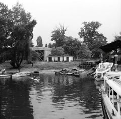 Magyarország, Budapest XIII., Újpesti-öböl, a BKV hajójavító üzeme a Népszigeten., 1967, FŐMTERV, Domonkos Endre, Budapest, Fortepan #252497