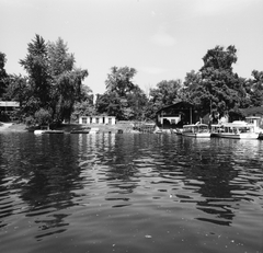 Magyarország, Budapest XIII., Újpesti-öböl, a BKV hajójavító üzeme a Népszigeten., 1967, FŐMTERV, Domonkos Endre, Budapest, Fortepan #252500