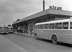 Magyarország, Óbuda, Budapest III., Bécsi út, MÁVAUT autóbusz-végállomás a Vörösvári út közelében., 1969, FŐMTERV, Domonkos Endre, Budapest, Ikarus-márka, autóbusz, Ikarus 620/630, Fortepan #252546