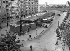 Magyarország, Budapest XI., Kosztolányi Dezső téri autóbusz-pályaudvar a Bukarest utcában., 1969, FŐMTERV, Domonkos Endre, Budapest, Fortepan #252548