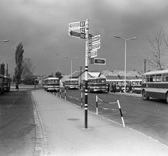 Magyarország, Budapest XVII., Fő tér (Rákoskeresztúr városközpont autóbusz-végállomás)., 1969, FŐMTERV, Domonkos Endre, Budapest, Fortepan #252622