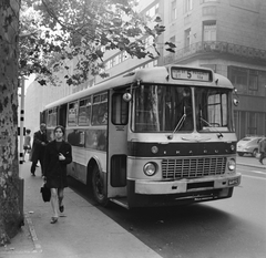 Magyarország, Budapest V., Erzsébet (Engels) tér, buszmegálló, háttérben a Kerületi Tanács (később Polgármesteri Hivatal) épülete., 1969, FŐMTERV, Domonkos Endre, Ikarus 556, Budapest, Fortepan #252663