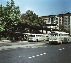 Magyarország, Budapest V., Erzsébet (Engels) tér, VOLÁNBUSZ pályaudvar., 1970, FŐMTERV, Domonkos Endre, buszpályaudvar, Budapest, Fortepan #252764