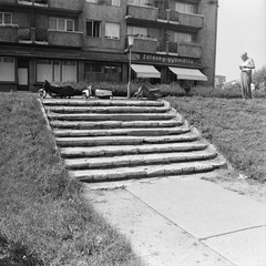 Magyarország, Budapest IX., József Attila lakótelep, a felvétel Pöttyös utca 11. számú ház előtti parkban készült., 1970, FŐMTERV, Domonkos Endre, Budapest, Fortepan #252793