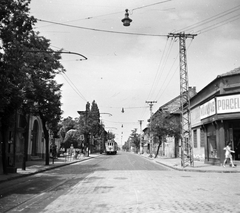 Magyarország, Budapest XX., a Török Flóris utca Szent Erzsébet tértől a Határ út felé vezető szakasza. Balra a Pflum kertmozi és vendéglő., 1971, FŐMTERV, Domonkos Endre, Budapest, Fortepan #252991