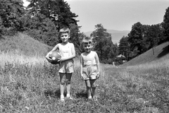 Magyarország, Budapest XII., Harangvölgy a Normafa alatt., 1966, Szánthó Zoltán, kirándulás, gyerekek, fiúk, kettős portré, gumilabda, Budapest, Fortepan #25332