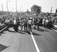 Magyarország, Budapest X., Jászberényi úti, a felvétel a felüljáró ünnepélyes átadásakor készült., 1973, FŐMTERV, Domonkos Endre, Budapest, Fortepan #253405