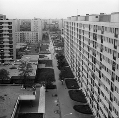 Hungary, Budapest XIV., Füredi utcai lakótelep, kilátása a Füredi park felé, balra a Rákosfalva park, jobbra az Ond vezér útja 36/a-e számú ház., 1978, FŐMTERV, Budapest, Fortepan #253780