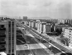 Magyarország, Budapest IX.,Budapest X., az Üllői út házsora a Ceglédi út és a Száva utca között, jobbra a beugróban a Tengerszem Étterem látszódik., 1981, FŐMTERV, Domonkos Endre, Budapest, Fortepan #253908