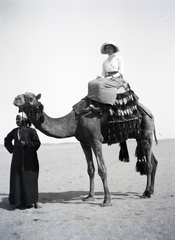 1913, Kriszt Béla, camel, desert, Fortepan #254073