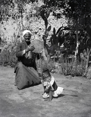 1913, Kriszt Béla, costume, animal trainer, drum, monkey, Fortepan #254229