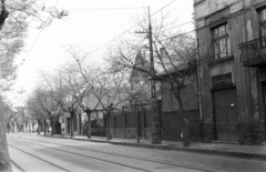 Hungary, Budapest IV., István (Bajcsy-Zsilinszky) út Görgey Artúr (Dózsa György) utca - Lőrincz utca közötti szakasza., 1982, Otruba Ferenc és Zoltán, shoemaker, Budapest, Fortepan #254650