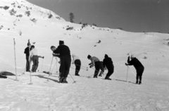 Lengyelország,Lengyel Magas-Tátra, sípálya a Kasprowy csúcs oldalában., 1964, Ungváry Rudolf, Fortepan #254772