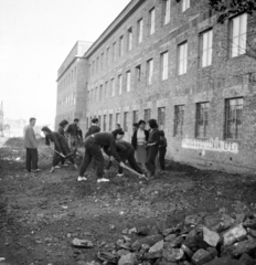 Hungary, Veszprém, Egyetem (Schönherz Zoltán) utca, a Veszprémi Vegyipari Egyetem (később Pannon Egyetem) B épülete melletti tereprendezés., 1958, Ungváry Rudolf, student, youth, label, Fortepan #254892