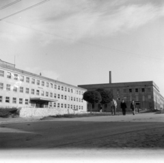 Hungary, Veszprém, Egyetem (Schönherz Zoltán) utca, a Veszprémi Vegyipari Egyetem (később Pannon Egyetem) A és B épülete., 1958, Ungváry Rudolf, university, Fortepan #254899