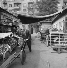 Hungary, Budapest XIII., Kassák Lajos utca (Fóti út) 13., Lakatos- és Fémáru Kisipari Termelő Szövetkezet. Szakmunkás segéd kétkerekű nehézüzemi taligát tol az üzem udvarán. A háttérben a kapun túl a szemben lévő 10-es számú ház látszik., 1958, Ungváry Rudolf, Budapest, photo aspect ratio: square, Fortepan #254916