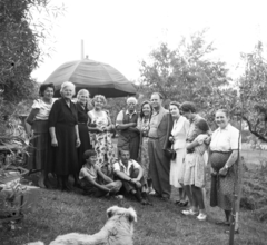 Hungary, Budapest III., a felvétel a Bécsi út 236. szám alatti villa kertjében készült. Az épületben ekkor a földszinten lakások voltak, az emeleten pedig óvóda működött., 1958, Ungváry Rudolf, Budapest, dog, generations, family, Fortepan #254954