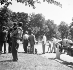 Magyarország, Városliget, Budapest XIV., a felvétel az Újpesti Dózsa nemzetközi gyorsasági motorversenyén készült, 1957. május 26-án., 1957, Ungváry Rudolf, Budapest, képarány: négyzetes, közönség, Fortepan #254960