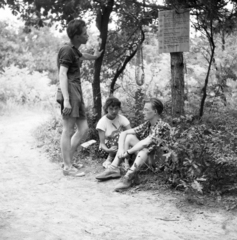 Magyarország,Balaton, Zamárdi, Csikászói-erdő, 1955, Ungváry Rudolf, képarány: négyzetes, földön ülés, fiatalság, pihenés, cekker, turistajelzés, Fortepan #254972