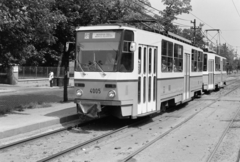 Hungary, Budapest XI., 61-es villamos a Villányi úton, háttérben a 67. szám alatti Pető Intézet., 1982, Bojár Sándor, Budapest, tram, serial number, Fortepan #255173