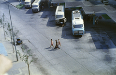 Magyarország, Budapest XI., Kosztolányi Dezső téri autóbusz-pályaudvar a Bukarest utcában., 1963, Bujdosó Géza, Budapest, Fortepan #255605