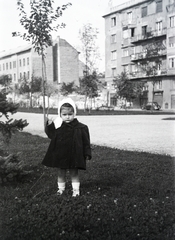 Hungary, Budapest I., Vérmező, jobbra az Attila út épületsora., 1947, Bujdosó Géza, Budapest, coat, girl, Fortepan #255638