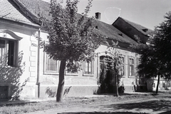 Hungary, Nagykanizsa, Csányi László utca, középen a 13. számú ház., 1961, Cziboly Józsefné, shadow, street view, Fortepan #255678