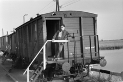 Magyarország, Dunavarsány, töltés a Ráckevei (Soroksári)-Duna, Taksony vezér hídnál. A felvétel híd felújításakor készült., 1961, Cziboly Józsefné, folyó, vagon, patkó, lépcső, nádas, ütköző, Fortepan #255693