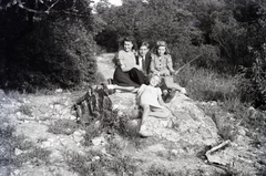 Hungary, Budapest II., Nagy-Hárs-hegy., 1949, Hámornik Balázs, Budapest, sunbathe, rock, tableau, youth, Fortepan #255753