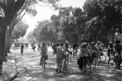 Vietnám, Hanoi, Đinh Tiên Hoàng utca a Dong Kinh Nghia Thuc tér felől. A felvétel a VÁTI szakmai delegációjának útja során készült., 1970, Kálnoki Kis Sándor, kerékpár, Fortepan #255932