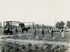 Hungary, Budapest XVI., Rákosszentmihály, a katonaság kertészete., 1915, Országos Széchényi Könyvtár, Budapest, vegetables, well, agriculture, Fortepan #256051