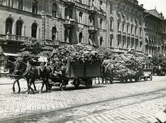 Magyarország, Budapest VIII., József körút, egyenruhát szállító lovaskocsik, a háttérben középen a 9-es és 7-es számú ház., 1916, Országos Széchényi Könyvtár, Müllner János, Budapest, Fortepan #256094