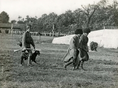 Hungary, Budapest XIV., Erzsébet királyné útja a Mexikói út saroknál, Ügetőpálya (később a Millenniumi Földalatti Vasút járműtelepét alakították ki a helyén). Harcászati bemutató 1915 októberében, harcikutya bemutató., 1915, Országos Széchényi Könyvtár, Budapest, dog, gun, Soviet soldier, bayonet, dog training, Fortepan #256137