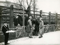 Hungary, Zoo, Budapest XIV., balra a háttérben a Beketow cirkusz (később a Fővárosi Nagycirkusz) épülete, szemben a Széchenyi fürdő sziluettje látszik., 1915, Országos Széchényi Könyvtár, Budapest, boy, camel, seller, Fortepan #256151